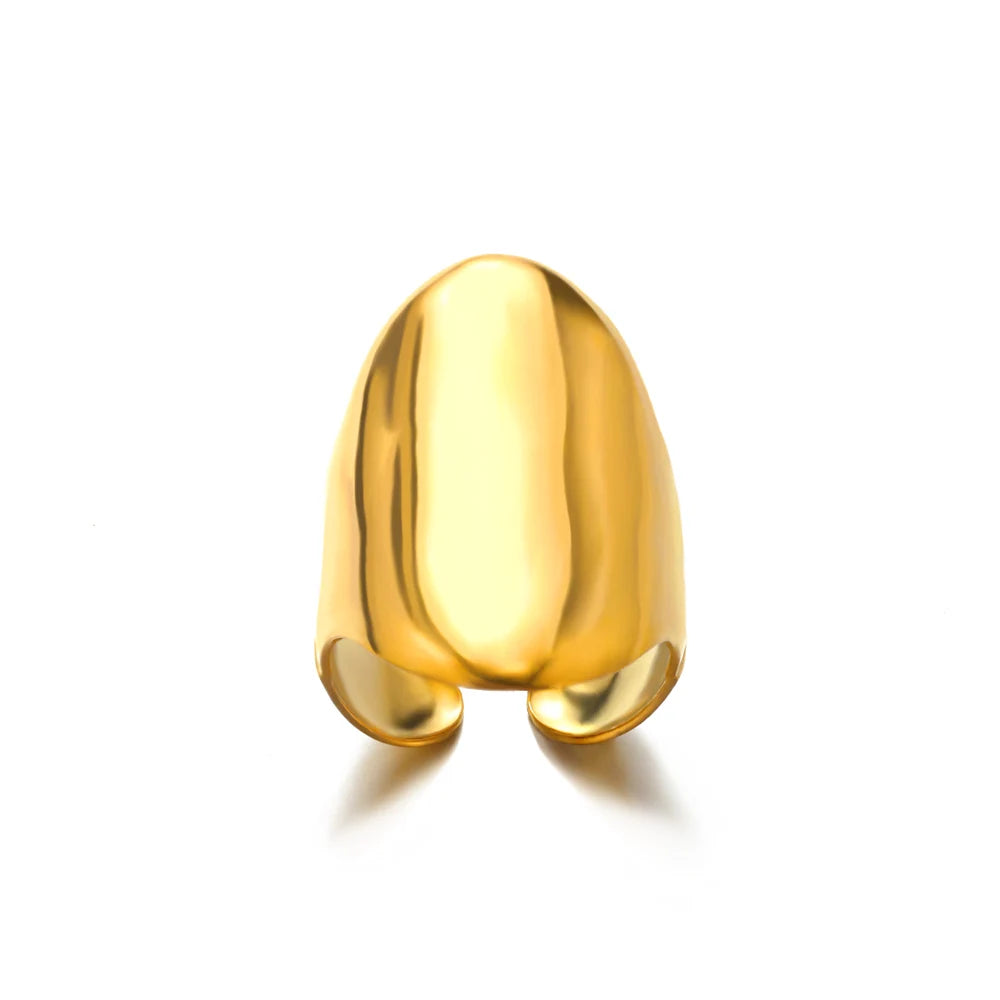 Bague originale acier inoxydable