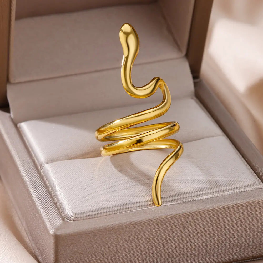 Bague originale acier inoxydable