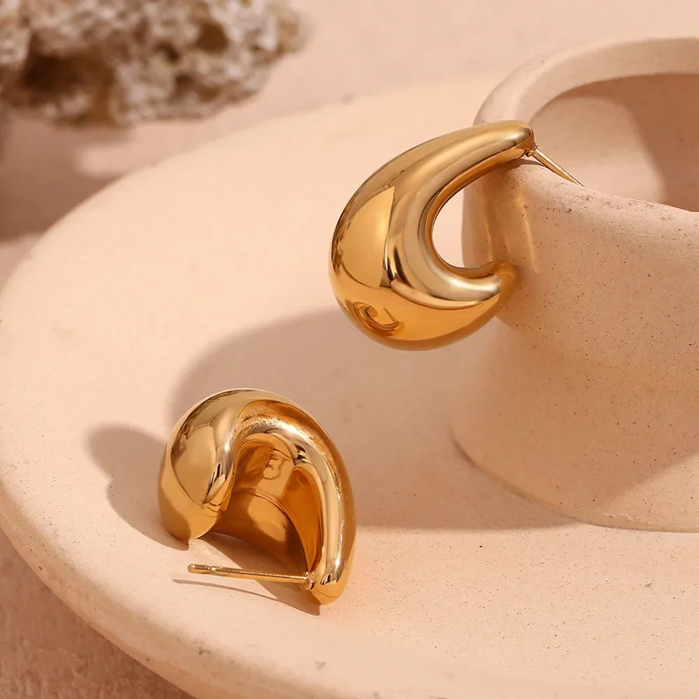 Boucles d'oreilles goutte acier inoxydable